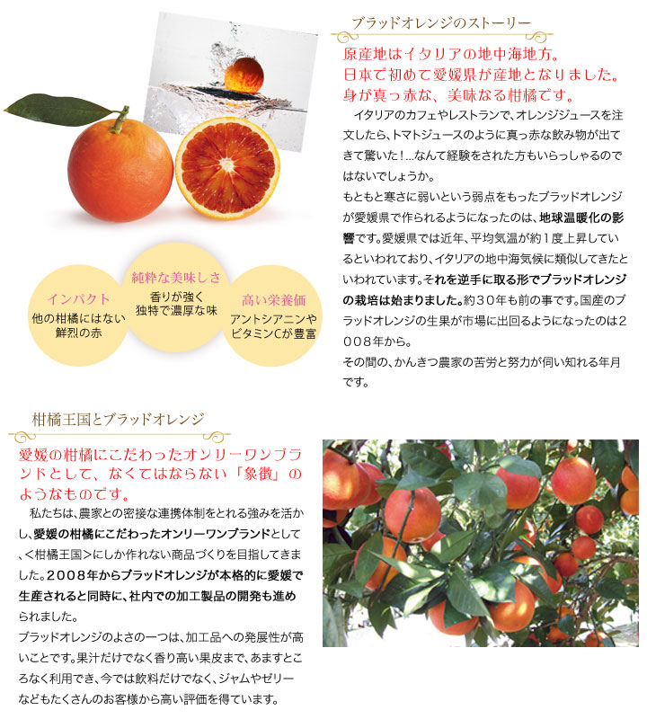 愛媛県産ブラッドオレンジと柑橘王国
